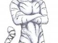 yWhiteTiger.jpg